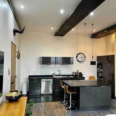 Apartment Beautiful Loft In Center Lyon