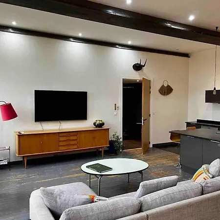 Apartment Beautiful Loft In Center Lyon