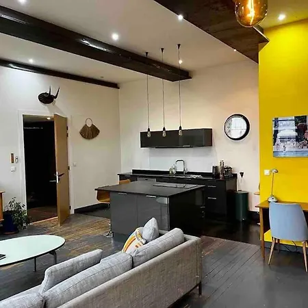 Beautiful Loft In Center Lyon